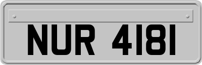 NUR4181