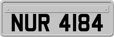 NUR4184