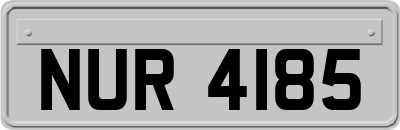 NUR4185