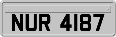 NUR4187