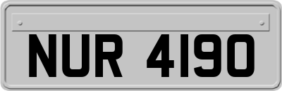 NUR4190
