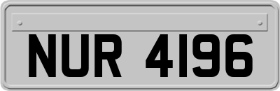 NUR4196