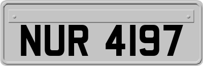 NUR4197