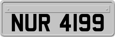 NUR4199