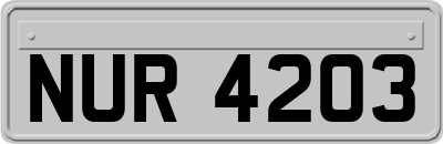 NUR4203