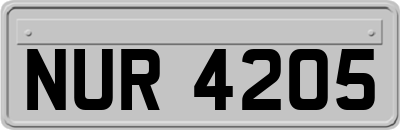 NUR4205