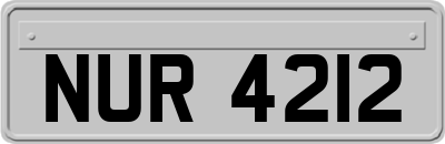 NUR4212