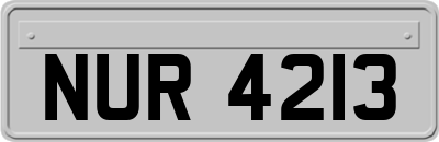 NUR4213