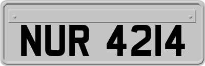 NUR4214