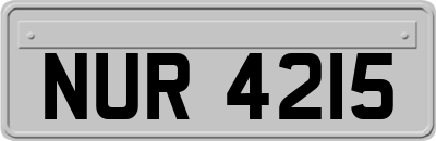 NUR4215