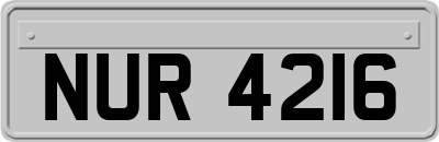NUR4216