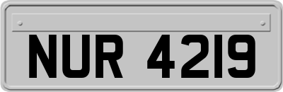 NUR4219