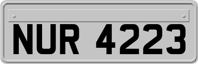 NUR4223
