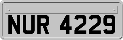 NUR4229
