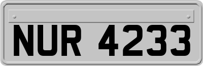 NUR4233