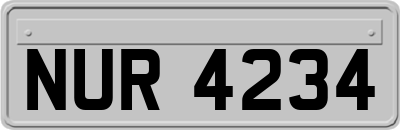 NUR4234
