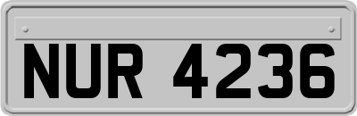 NUR4236