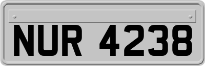 NUR4238