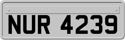 NUR4239