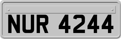 NUR4244