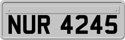 NUR4245