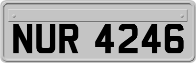 NUR4246
