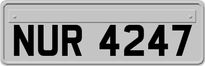 NUR4247