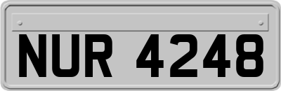 NUR4248
