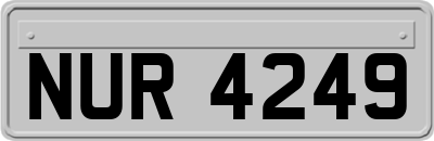 NUR4249