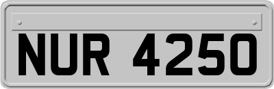 NUR4250