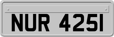 NUR4251