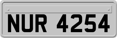 NUR4254