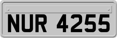 NUR4255
