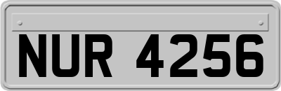 NUR4256