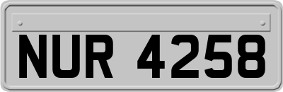 NUR4258