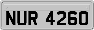 NUR4260
