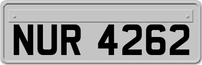 NUR4262