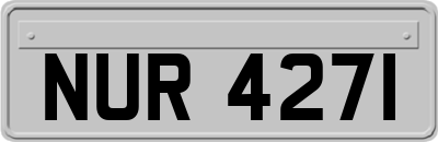 NUR4271