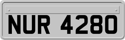 NUR4280