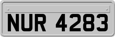 NUR4283