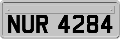 NUR4284
