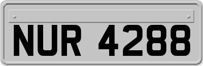 NUR4288