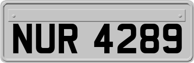 NUR4289