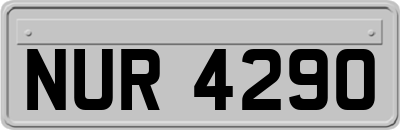 NUR4290