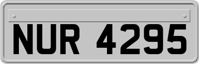 NUR4295