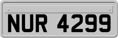 NUR4299