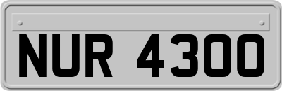 NUR4300