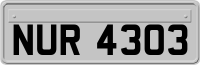 NUR4303