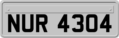 NUR4304