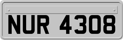 NUR4308